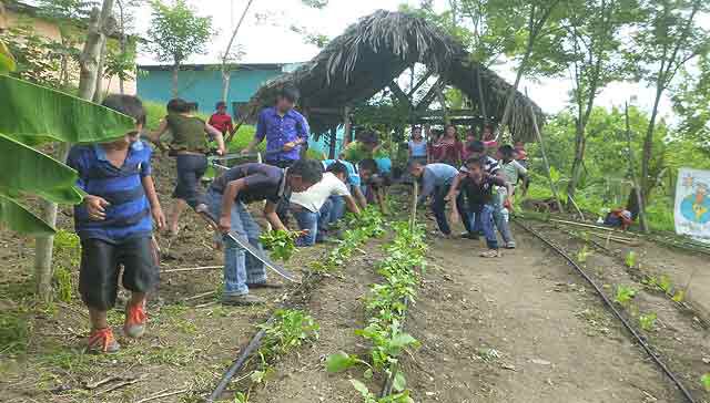 Improvement of the Nutritional Conditions of Maya Q’eqchi’ Children