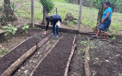 Acciones para mejorar los sistemas alimentarios